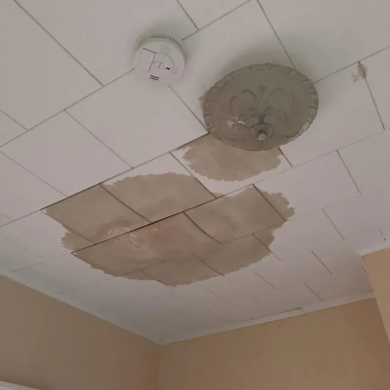 Ceiling Water Damage Repair in Glenmore, WI