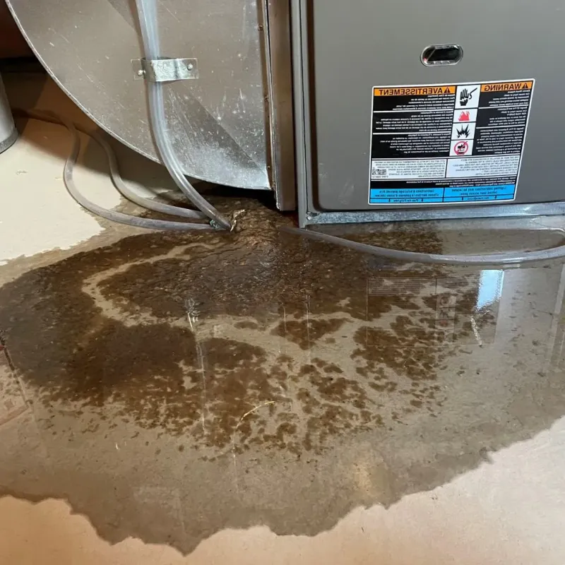 Pipe Burst and Leak Restoration in Glenmore, WI