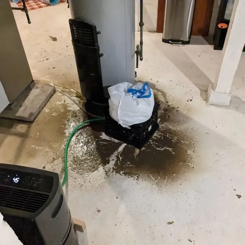 Sewage Backup Cleanup Service in Glenmore, WI